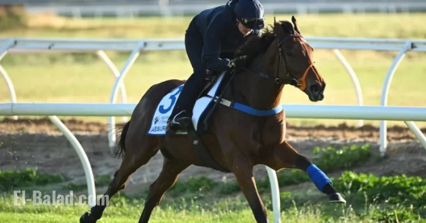 Irish Hopes May Falter as Melbourne Cup Pre-Race Vet Checks Intensify