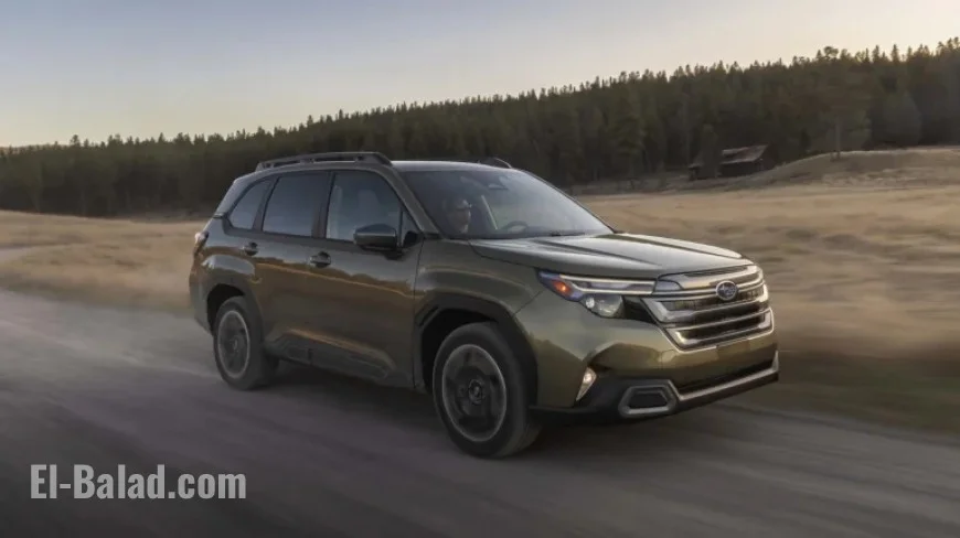 Subaru Forester: Most Affordable Insurance, Tesla Model 3: Priciest, Says Consumer Reports