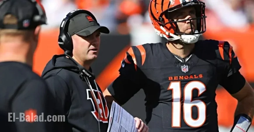 Bengals vs Bears: Key Winners and Losers from Pivotal Defeat