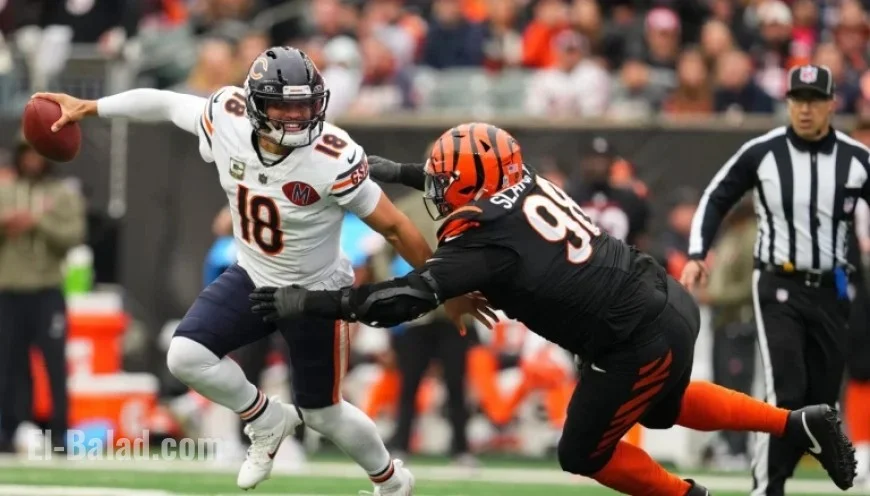 Bears Secure Thrilling 47-42 Victory Over Bengals with Last-Minute 58-Yard TD