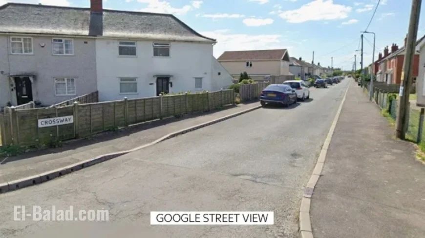 Dog Attack in Wales Claims Life of Nine-Month-Old Baby