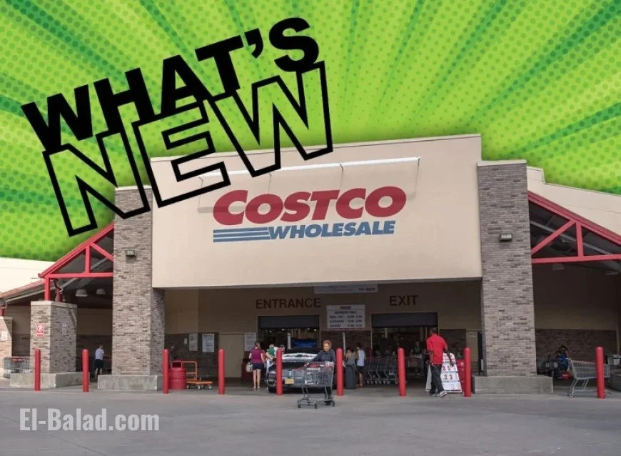 Top 11 Must-Have New Finds at Costco Today