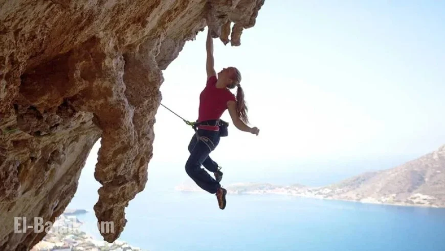 Three Stocks Primed for Purchase as Futures Rise