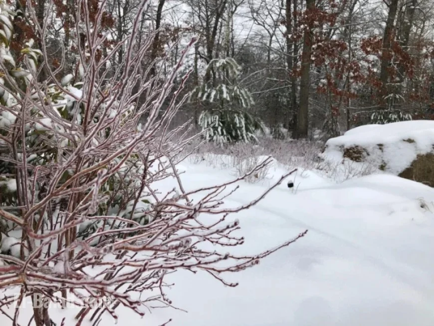 2025-2026 Winter Forecast for Southern New England Released