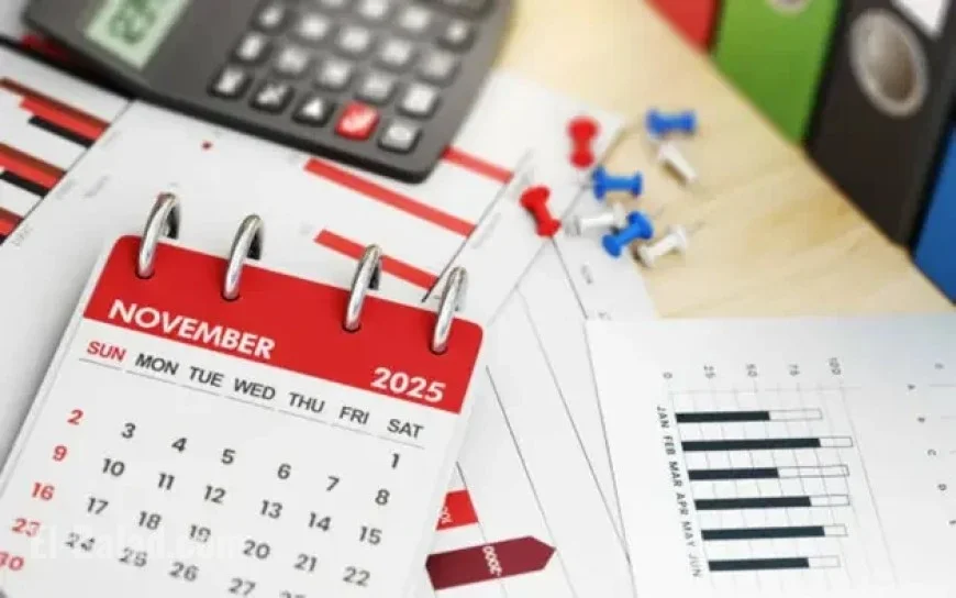 Upcoming Earnings Reports: AMD, PLTR, PFE, MCD, and More