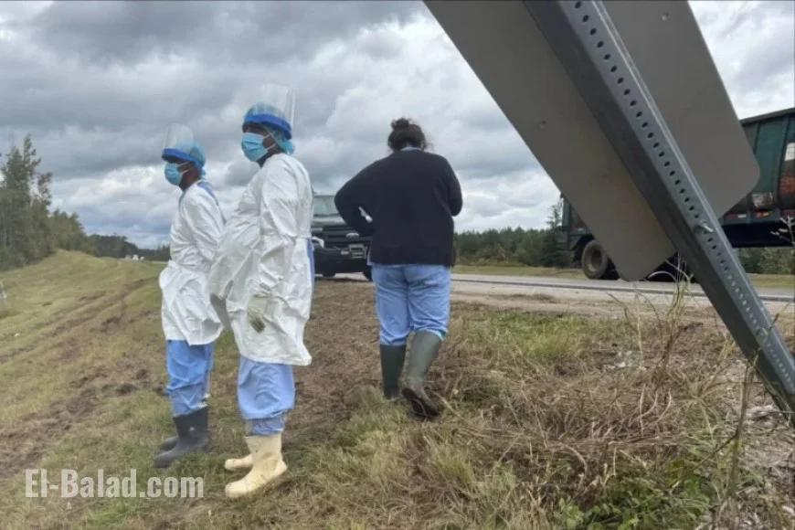 Mississippi Woman Fatally Shoots Escaped Monkey to Protect Her Children