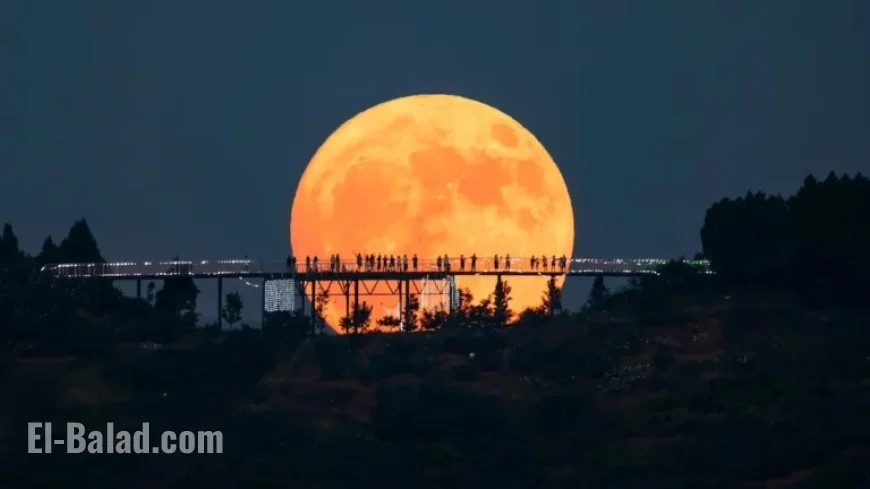 November’s Golden Supermoon Shines as Year’s Largest and Brightest