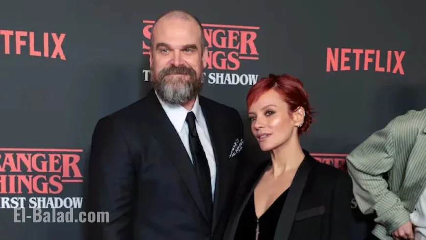 Lily Allen’s Album Reveals Truth Behind David Harbour Breakup