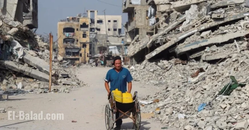 Turkey Urges Immediate Action on Gaza, Source Reveals