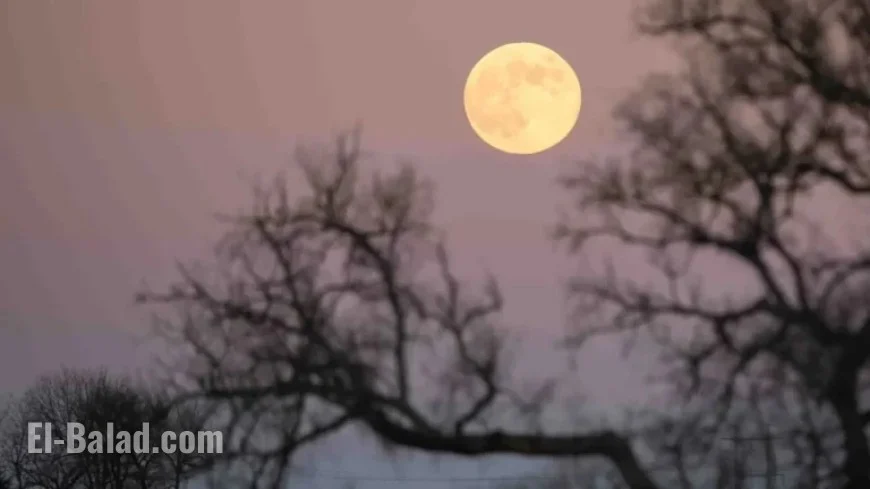 Witness Tonight’s Largest Supermoon: Is the Moon Full?