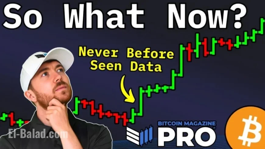 Bitcoin Price Cycle Data Unveils Upcoming Major Bull Run