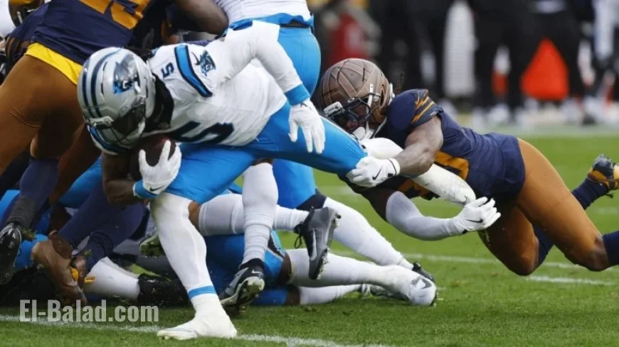 Panthers and Vikings Emerge as Top 2025 Underdog Winners