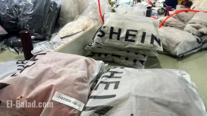 France Considers Shein Ban Over ‘Childlike Sex Dolls’ Issue