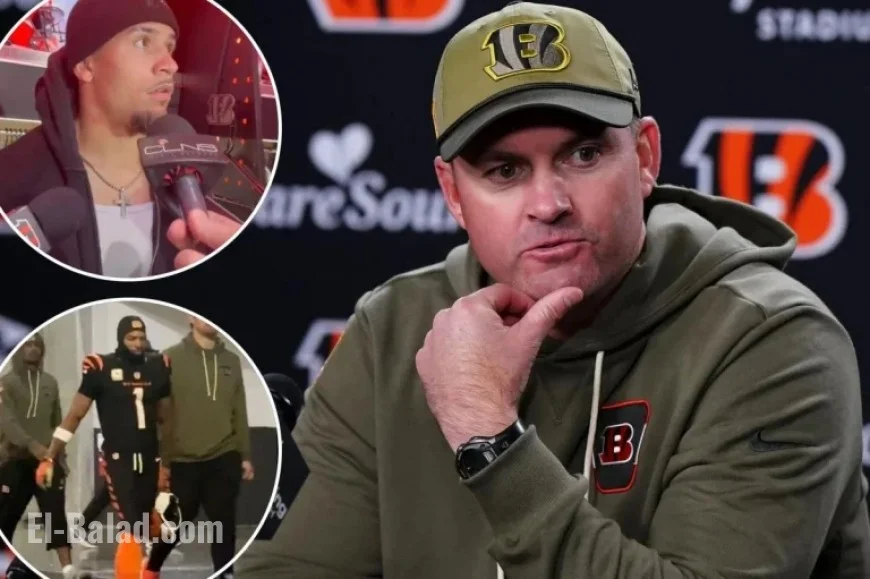 Bengals Players Clash After Devastating Loss