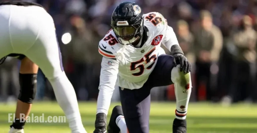 Bears’ Dayo Odeyingbo Sidelined for Season by Achilles Tear