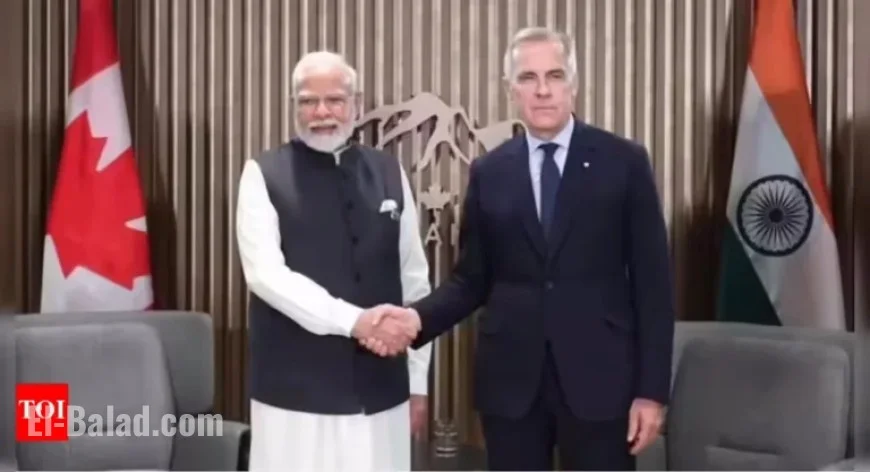 Canada Denies Over Half of Indian Student Applications Despite Stronger Ties