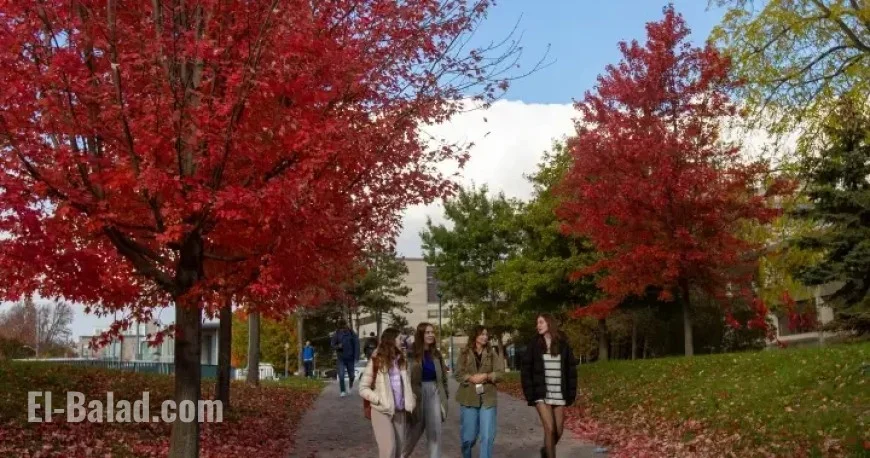 Report: University Area Rents Decline Rapidly as Foreign Student Caps Take Effect