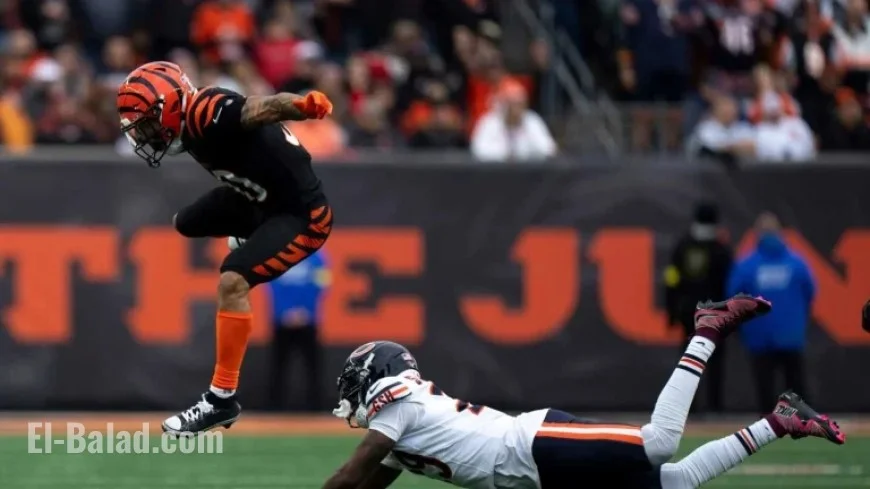 Zac Taylor Condemns Chase Brown’s Defense Criticism