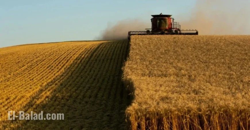 Opinion: Prediction Markets Revolutionize 21st Century Futures Trading