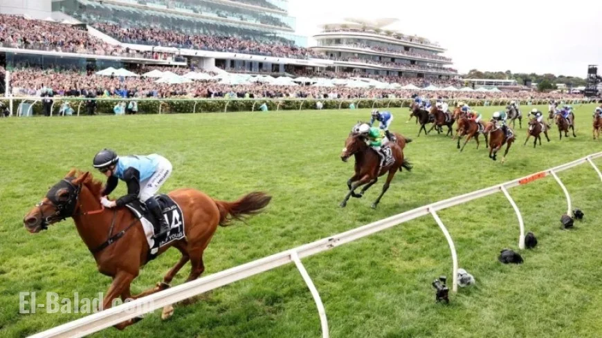 Melbourne Cup: Experts Surprised as Winner Backs Defy Predictions
