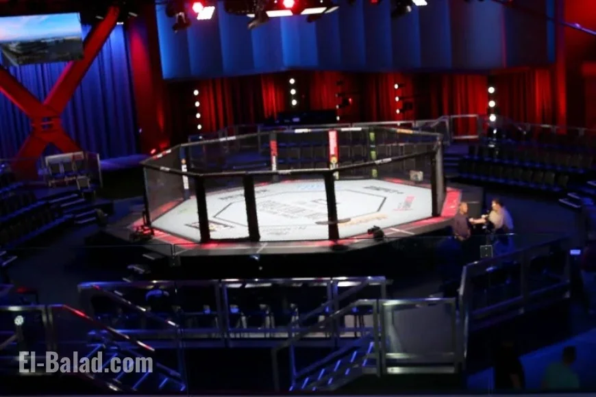 Sportsbooks Refund UFC Bets Amid Suspicious Activity Concerns