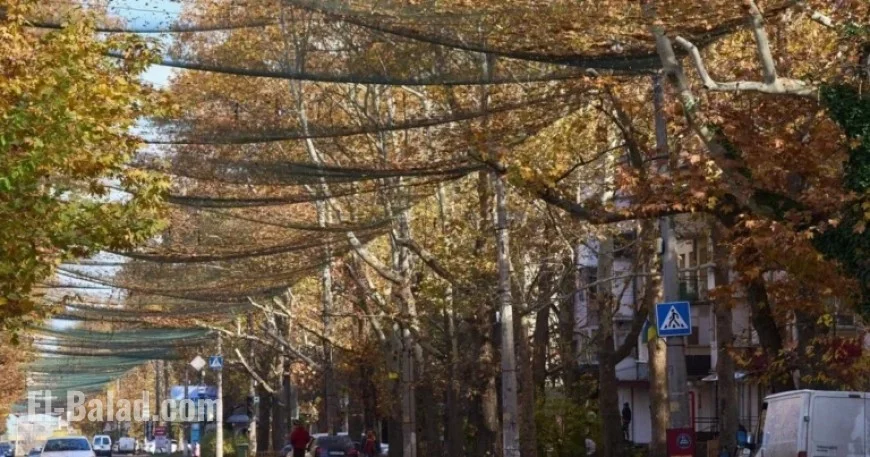 Ukrainian Drones Penetrate Deep Russia Amidst Fierce Key City Battle