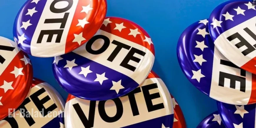 Key Insights for Voters on Election Day