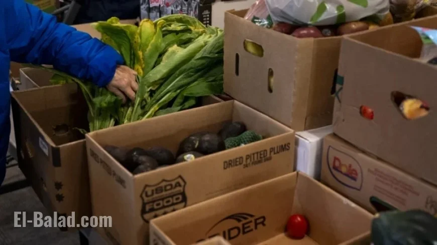 SNAP Benefit Arrival Dates Vary: How Communities Are Offering Support