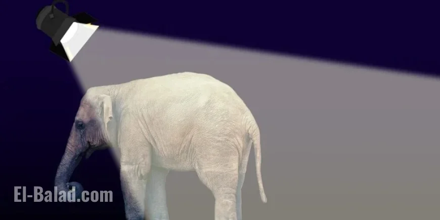 Arctic Frost Sparks Controversy