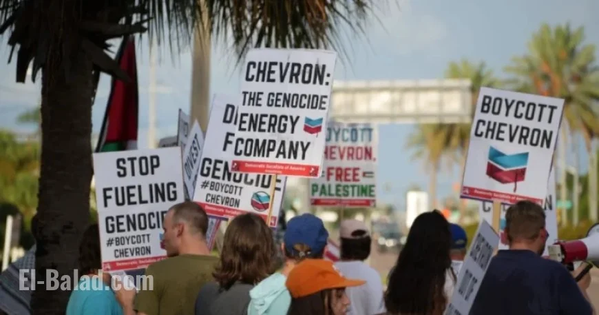 Join the Chevron Boycott: Day of Action on November 22