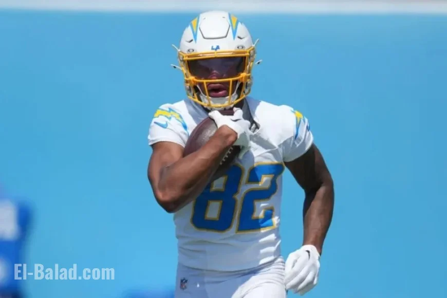 Patriots Sign Wide Receiver Brenden Rice