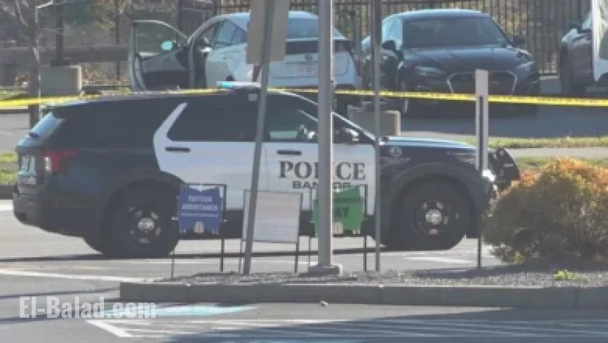 David Duchovny Enamored by London Before Discovering Naked Attraction