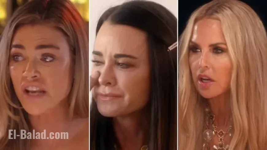 Rachel Zoe Cast in Show; Denise Richards Back After Divorce