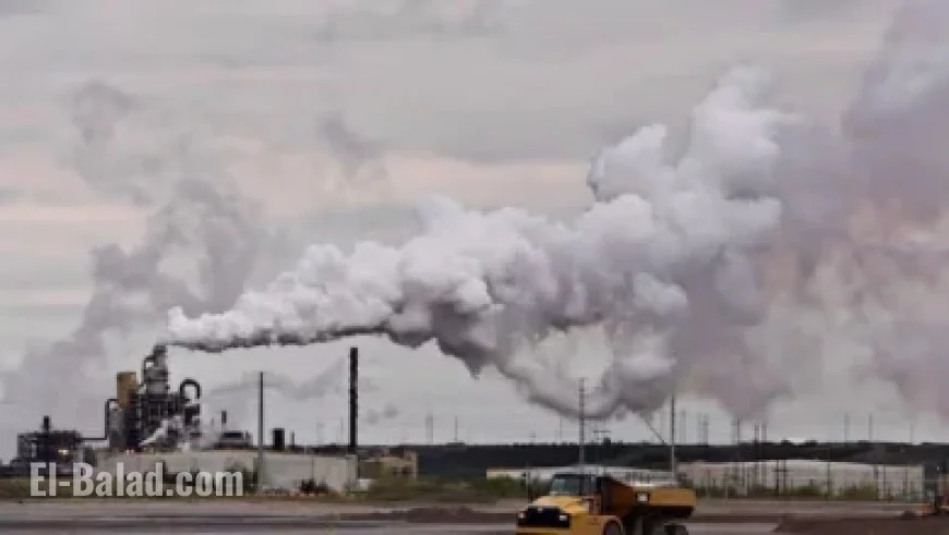 Live Updates: Minneapolis Mayor Election Results 2025