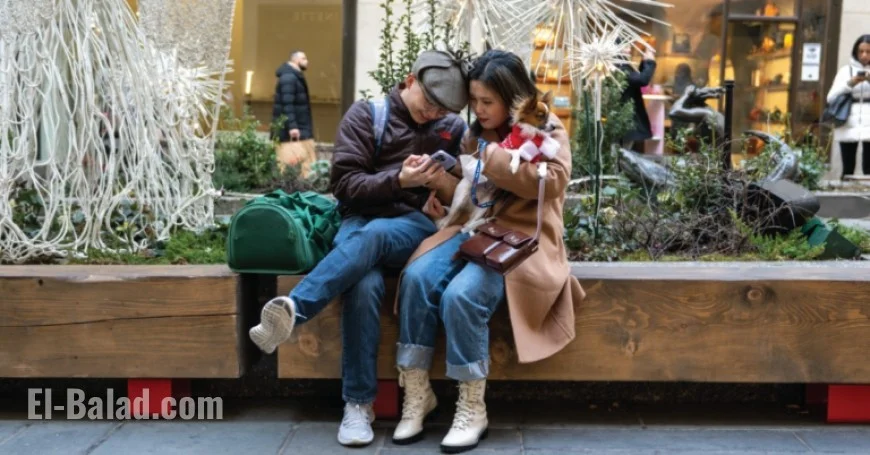 Understanding ‘DINKs’: Dual Income, No Kids Trend in the U.S.