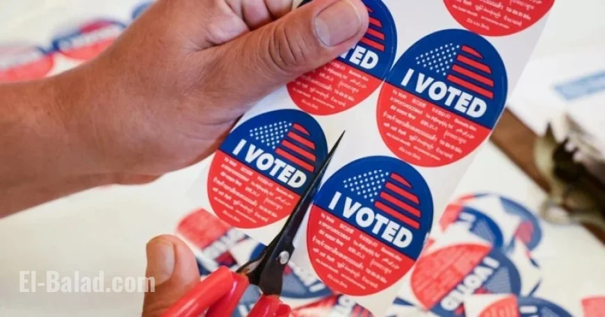 Election Maps Reveal NYC Mayor, New Jersey, and Virginia Governor Results