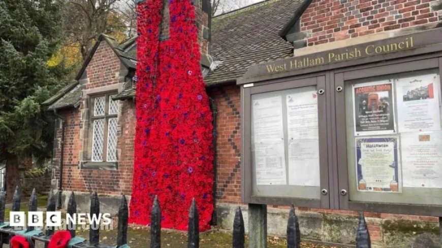 Thousands of Knitted Poppies Enhance Remembrance Display