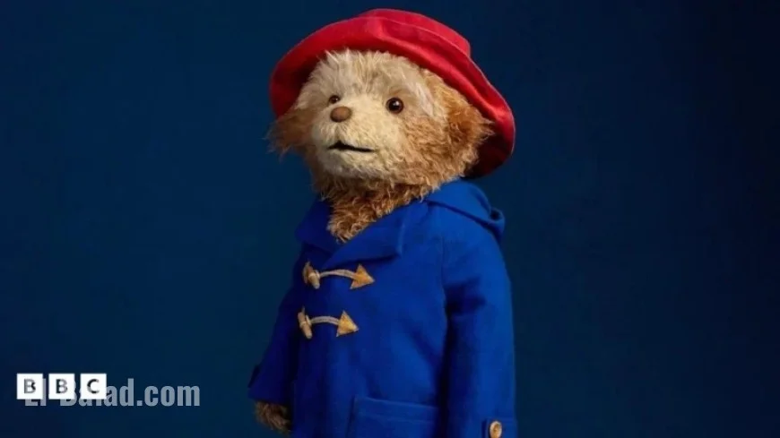 Discover the Magic of Paddington the Musical Stage Show