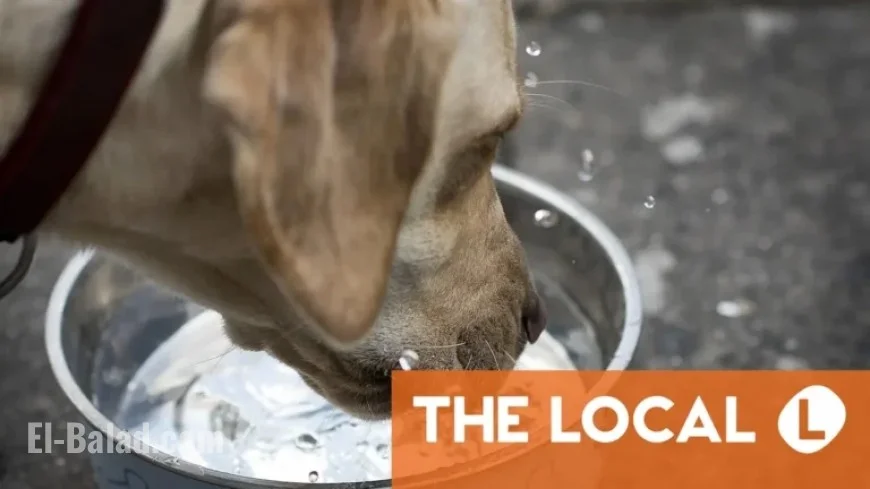 Wednesday’s Top News Highlights from Denmark