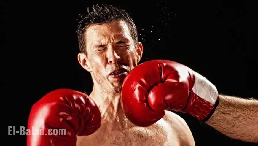 Dow Jones Futures: AMD and Arista Rise on Earnings; Palantir Declines Further