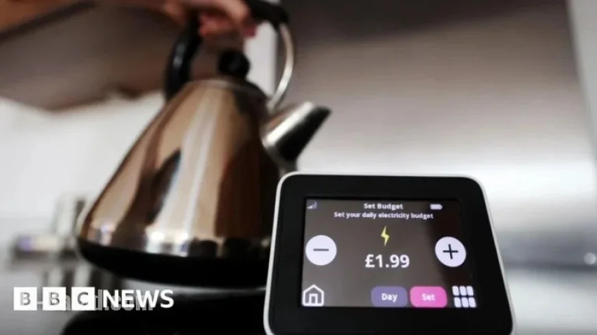 Regulator Intervenes Amid Basingstoke’s Tomato Energy Collapse