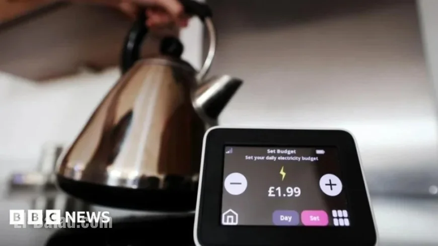 Regulator Intervenes Amid Collapse of Basingstoke’s Tomato Energy