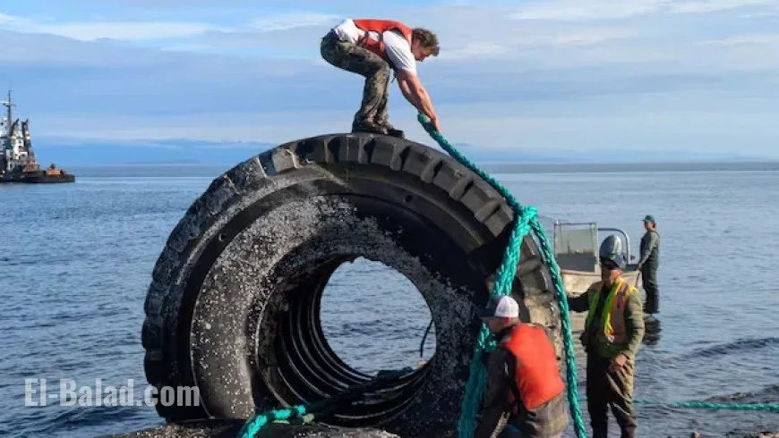 Massive Industrial Tires Cleared from Campbell River Beach, B.C.