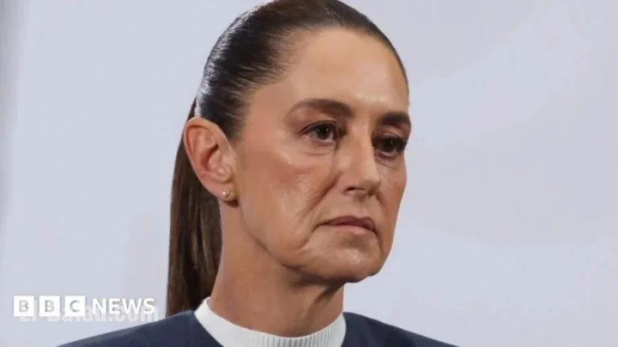 Mexico President Pursues Legal Action After Street Groping Incident