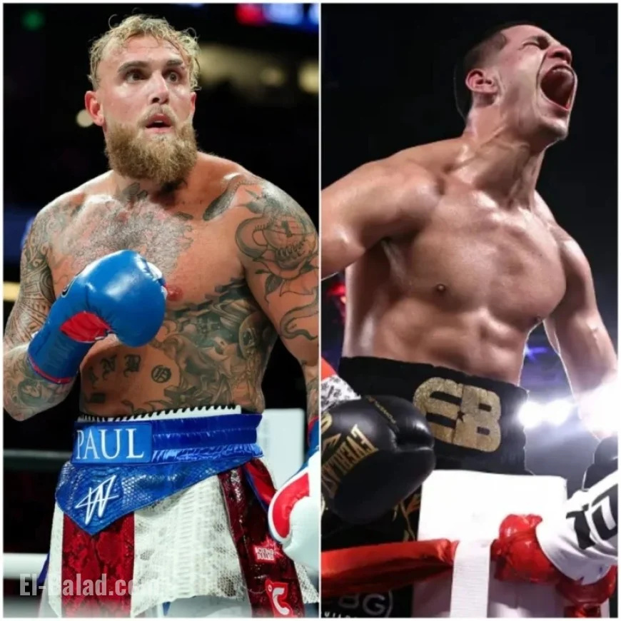 Highly Anticipated Fight Excites Fans