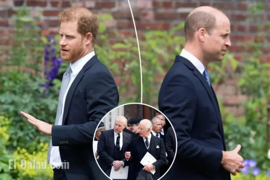 Source Suggests Prince Harry Might Lose Title Like Andrew