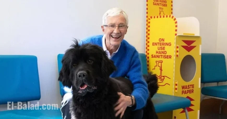 ITV Faces Backlash Over Alison Hammond’s Role After Paul O’Grady’s Passing