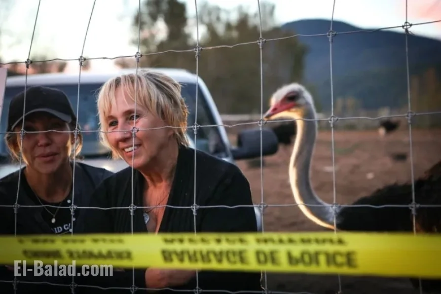 B.C. Ostrich Cull: From Flu Outbreak to ‘Ostrichfest’ and High Court