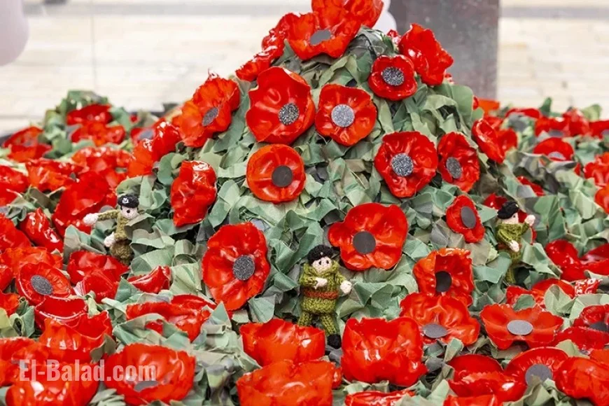Bracknell Hosts Remembrance Sunday Events
