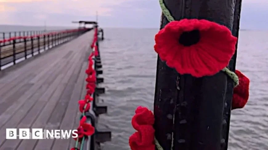 Stunning 110,000-Poppy Display Unveiled on Southend Pier in Video